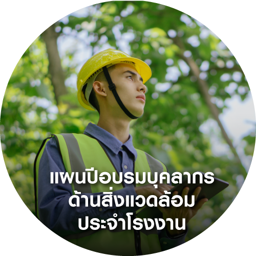 แผนปีสิ่งแวดล้อม